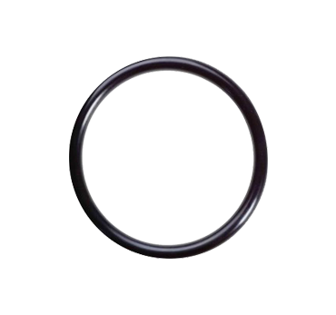 O-Ring | for 90 Degree Inlet or Outlet | Secondary Syphon Valve