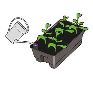 Planters & Propagators