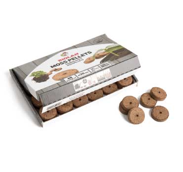 Mini Greenhouse | Propagator | Starter Kits