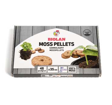 Mini Greenhouse | Propagator | Starter Kits