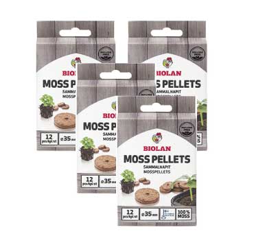 Mini Greenhouse | Propagator | Starter Kits