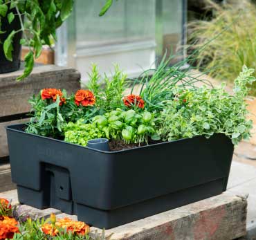 Biolan Planter | With Sub-Irrigation Reservoir