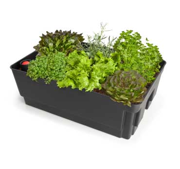 Biolan Planter | With Sub-Irrigation Reservoir